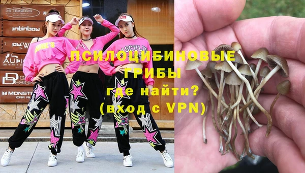 твердый Балахна